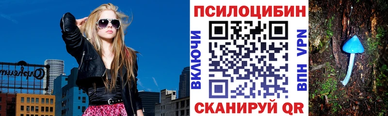 Псилоцибиновые грибы Psilocybe  Купить закладки  Катайск 